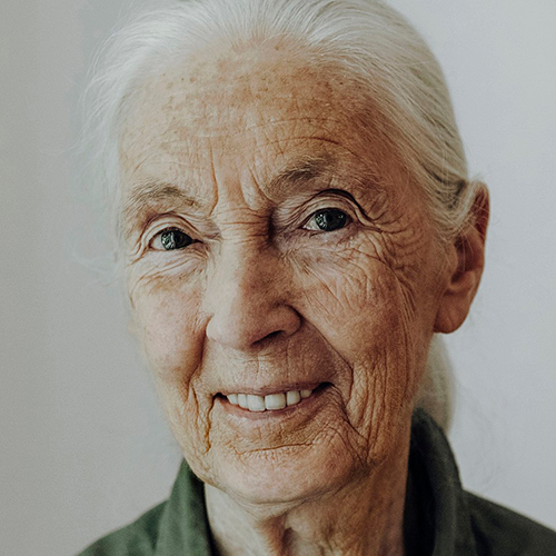 Dr. Jane Goodall