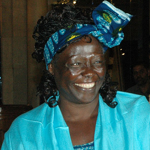 Wangarĩ Maatha