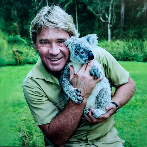 Steve Irwin