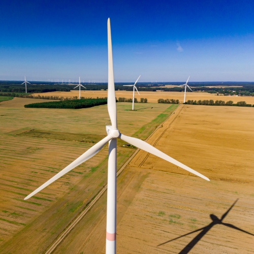 Global Wind Organization (GWO)