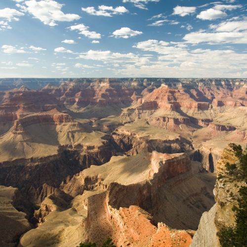 The Grand Canyon